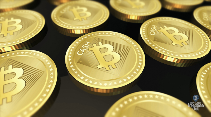 BitPay Merchants теперь принимает платежи Bitcoin Cash-Freedman.club-news