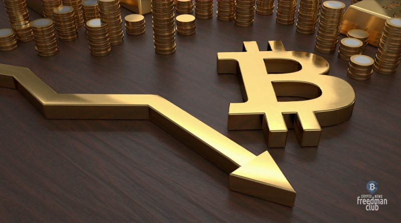 Дэн Морхед: Bitcoin может упасть в цене на 50% на следующей неделе