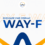 WAYF coin: официальный старт торгов на биржах