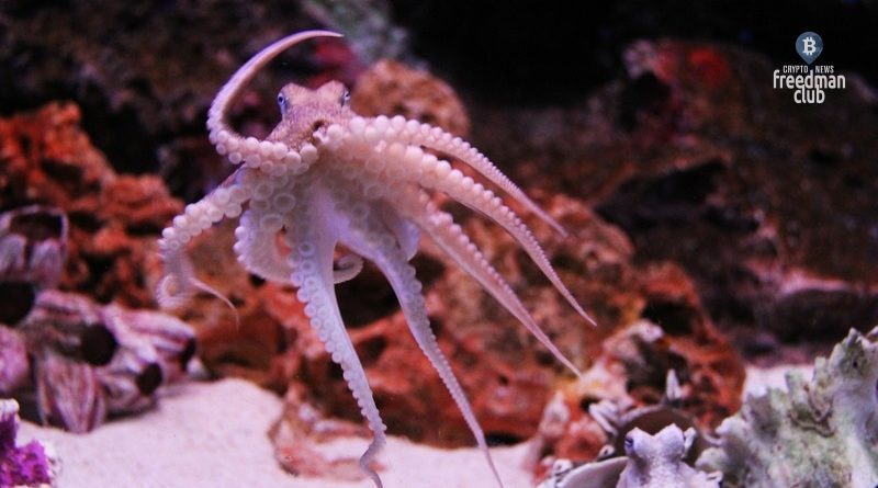 blacksprut kraken сайты гирда