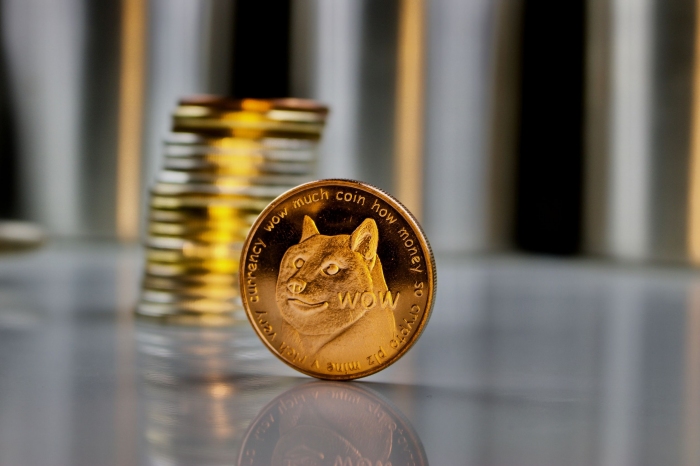 Как майнить монеты Dogecoin и что для этого понадобится