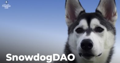 Derzhateli-SnowdogDAO-SDOG-poterjali-okolo-30-millionov-dollarov
