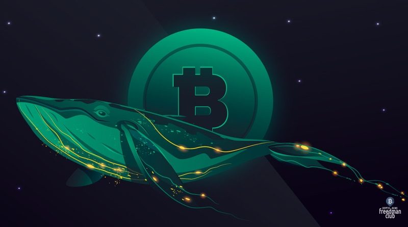 Povedenie-kitov-ukazyvaet-na-novoe-padenie-Bitcoin
