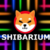 Разработка Shibarium повысила спрос на монету SHIB