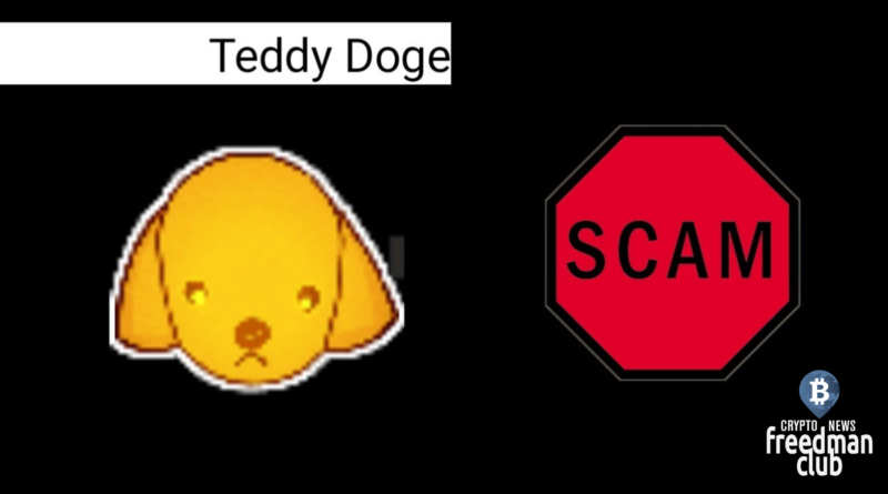 teddydoge-podvergsya-moshennichestvu-rug-pull
