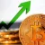 Неактивные запасы Биткоинов достигли рекордных максимумов